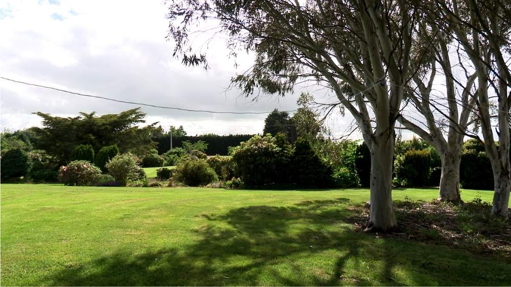 Ace-prepare-to-suspend-rope-between-trees